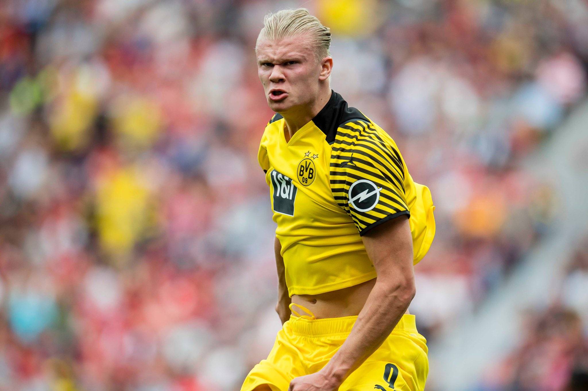 赫夫赛季第7次单场4+盖帽领跑全联盟，文班&斯图尔特5次（赫夫7次单场4+封盖领跑联盟，文班与斯图尔特各5次）