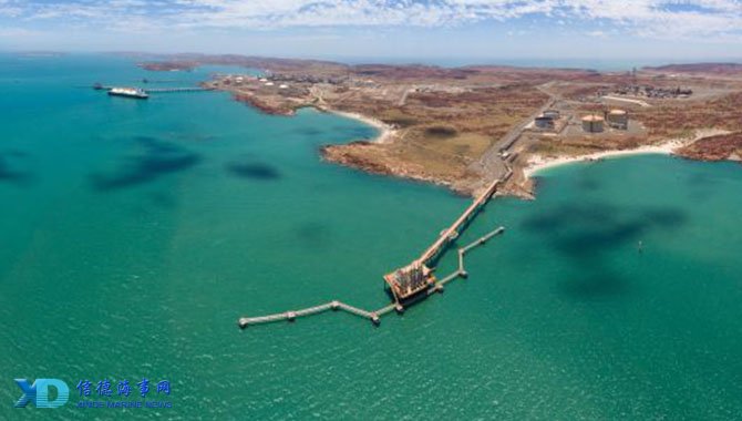 菅原由势：我会带着向世界杯冠军发起冲击的竞争意识去准备（菅原由势：我将以竞争心态备战，直指世界杯冠军）